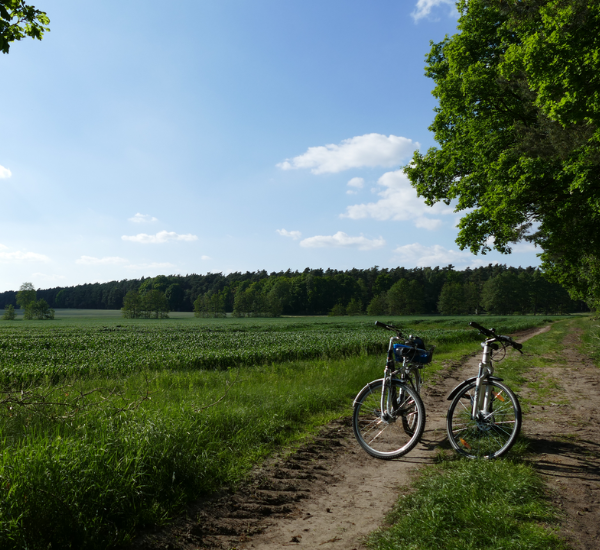 Rad fahren im Naturpark Fläming